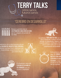 Terry Talks: Cerebro en Desarrollo (Infografía)
