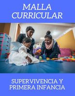 Malla Curricular supervivencia/primera infancia