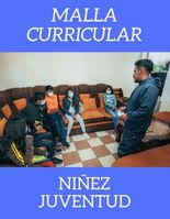 Malla Curricular niñez/juventud