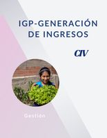 IGP - Generación de ingresos