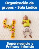 Organización de Grupos - Sala Lúdica