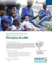 ¿Qué es LRM? Principios de LRM