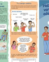 Folleto para varones - Crecer y Madurar Inteligentemente