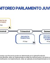 Monitoreo Parlamento Juvenil
