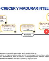 Crecer y Madurar Inteligentemente : Línea de tiempo-Monitoreo